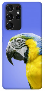 Чехол Попугай ара для Galaxy S21 Ultra