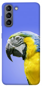 Чехол Попугай ара для Galaxy S21