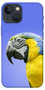 Чехол Попугай ара для iPhone 13 mini