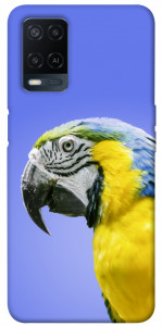Чехол Попугай ара для Oppo A54 4G