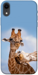 Чехол Милые жирафы для iPhone XR