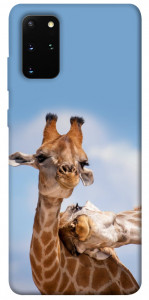 Чохол Милі жирафи для Galaxy S20 Plus (2020)