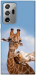 Чехол Милые жирафы для Galaxy Note 20 Ultra