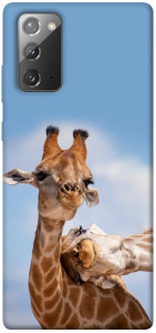 Чехол Милые жирафы для Galaxy Note 20