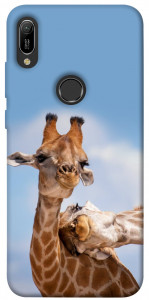 Чехол Милые жирафы для Huawei Y6 (2019)