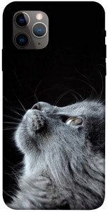 Чехол Cute cat для iPhone 11 Pro