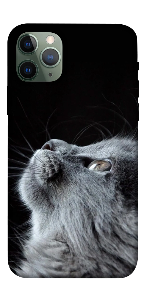 Чохол Cute cat для iPhone 11 Pro