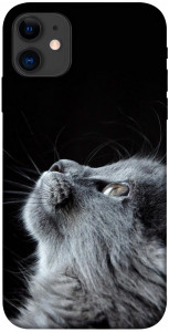 Чехол Cute cat для iPhone 11