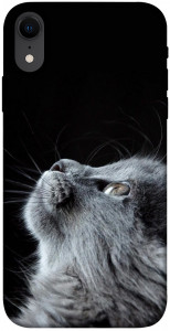 Чохол Cute cat для iPhone XR