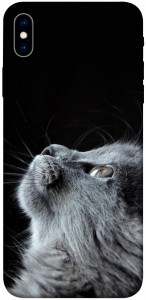 Чехол Cute cat для iPhone XS Max