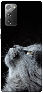 Чохол Cute cat для Galaxy Note 20