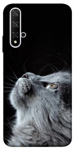 Чехол Cute cat для Huawei Honor 20