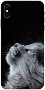 Чехол Cute cat для iPhone XS