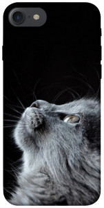 Чохол Cute cat для iPhone 8 (4.7")