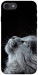 Чехол Cute cat для iPhone 8