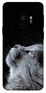 Чохол Cute cat для Galaxy S9