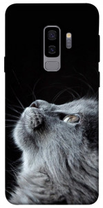 Чехол Cute cat для Galaxy S9+
