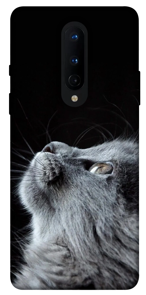 Чохол Cute cat для OnePlus 8