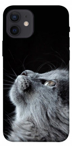 Чохол Cute cat для iPhone 12