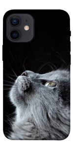 Чохол Cute cat для iPhone 12 mini