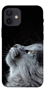 Чохол Cute cat для iPhone 12 mini