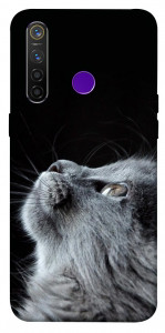 Чехол Cute cat для Realme 5 Pro