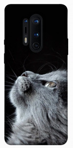 Чохол Cute cat для OnePlus 8 Pro