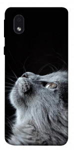 Чехол Cute cat для Samsung Galaxy M01 Core