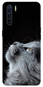 Чохол Cute cat для Oppo A91