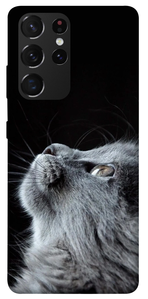 Чехол Cute cat для Galaxy S21 Ultra