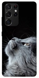 Чехол Cute cat для Galaxy S21 Ultra