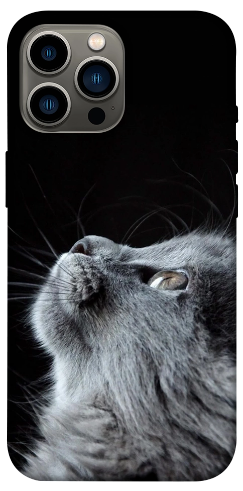 Чехол Cute cat для iPhone 13 Pro Max