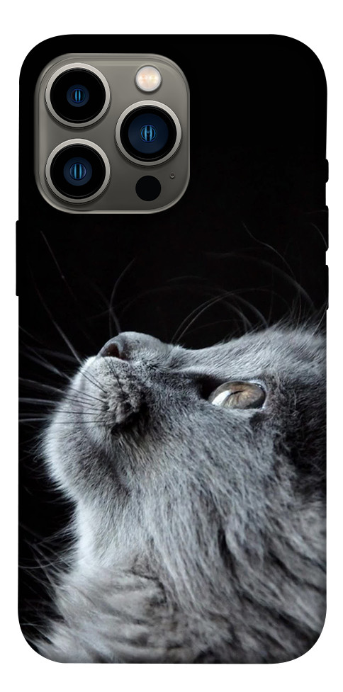 Чохол Cute cat для iPhone 13 Pro