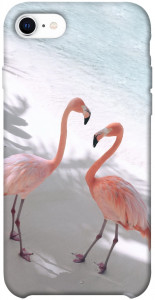 Чехол Flamingos для iPhone SE (2020)