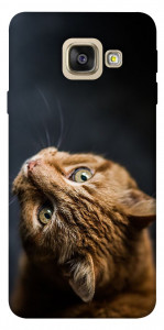 Чохол Рудий кіт для Galaxy A5 (2017)