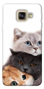 Чехол Три кота для Galaxy A5 (2017)