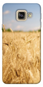 Чехол Поле пшеницы для Galaxy A5 (2017)