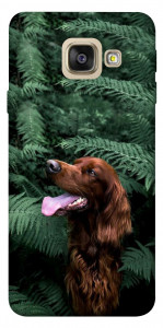 Чехол Собака в зелени для Galaxy A5 (2017)