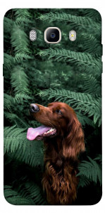 Чехол Собака в зелени для Galaxy J7 (2016)