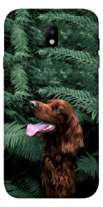 Чехол Собака в зелени для Galaxy J7 (2017)