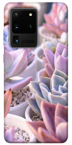 Чехол Эхеверия 2 для Galaxy S20 Ultra (2020)