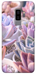 Чехол Эхеверия 2 для Galaxy S9+