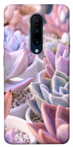 Чохол Ехеверія 2 для OnePlus 7 Pro