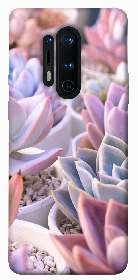 Чохол Ехеверія 2 для OnePlus 8 Pro