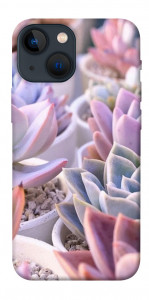 Чехол Эхеверия 2 для iPhone 13 mini