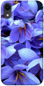 Чехол Фиолетовый сад для iPhone XR
