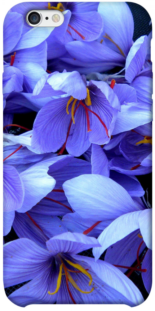 Чехол Фиолетовый сад для iPhone 6S Plus