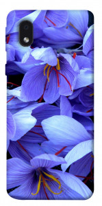 Чехол Фиолетовый сад для Samsung Galaxy M01 Core