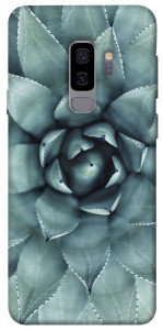Чехол Суккуленты для Galaxy S9+