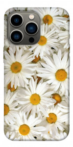 Чохол Chamomile для iPhone 13 Pro